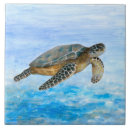 Suche nach schildkröten fliesen Wasser