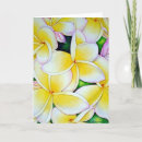 Suche nach frangipani karten Blume