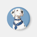 Suche nach dalmatinischer hund magnete Portrait