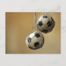 Suche nach hanging postkarten Sport
