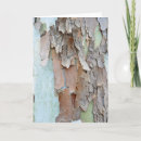 Suche nach baumrinde karten Rustikal