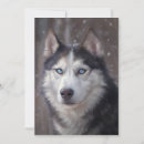 Suche nach sibirischer husky einladungen Für alle
