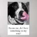 Suche nach nose poster Spaß