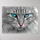 Suche nach eyes poster Pet