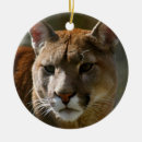 Suche nach puma ornamente Katze