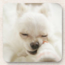 Suche nach mund untersetzer Horizontal