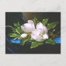 Suche nach velvet postkarten Magnolien