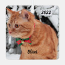 Suche nach orange metall ornamente Haustier