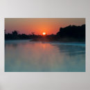 Suche nach sonnenaufgang poster Dschungel