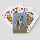 Suche nach border collie spielkarten Grenzkollie