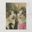 Suche nach alberne katzen postkarten Niedlich