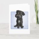 Suche nach schnoodle karten Hund