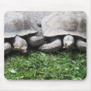 Suche nach niedliche schildkröte mousepads Jede person