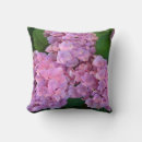 Suche nach hortensia kissen Hydrangea
