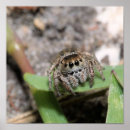 Suche nach insekten poster Gärten