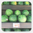 Suche nach wassermelone aufkleber Obst