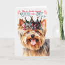 Suche nach yorkshire terrier geburtstag karten Haustiere