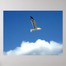 Suche nach winde poster Foto