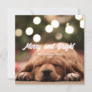 Suche nach weihnachtskarten foto einladungen Typografie
