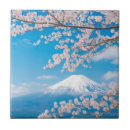 Suche nach vulkane fliesen Landschaft