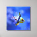 Suche nach salzwasser leinwandbilder Fische