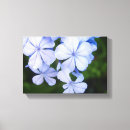 Suche nach bokeh leinwandbilder Natur