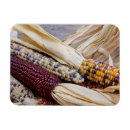 Suche nach indian magnete Blau