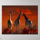 Suche nach südafrikanisch poster Kapstadt