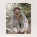 Suche nach säugetiere puzzle Süß