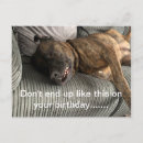 Suche nach hundekarten horizontale postkarten Geburtstag