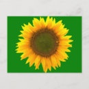 Suche nach symbolismus postkarten Blume