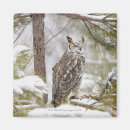 Suche nach uhu magnete Tier