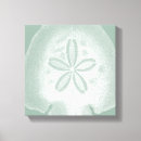 Suche nach weißer sand leinwandbilder Sanddollar
