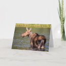 Suche nach nationales karten Tierwelt