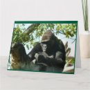 Suche nach gorilla karten Spaß