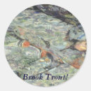 Suche nach trout aufkleber Bachforelle