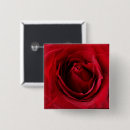 Suche nach tiefe buttons Rose