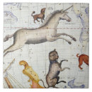 Suche nach major fliesen Nachher