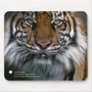 Suche nach smithsonian Tiere