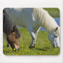 Suche nach isländisches pferd mousepads Bauernhof