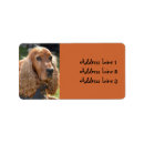 Suche nach spanisch rücksende aufkleber Jede person