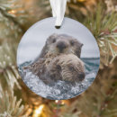 Suche nach seeotter ornamente Wild lebende tiere