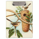 Suche nach vögel klemmbrett Ast