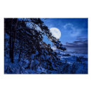 Suche nach tannenbäume poster Baum