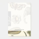 Suche nach wir insekten post it Tiere