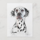 Suche nach dog portrait postkarten Niedlich