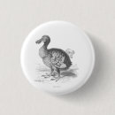 Suche nach schwarzer vogel buttons Illustration