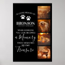 Suche nach haustierartikel In liebevoller erinnerung