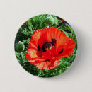 Suche nach mohnblumen buttons Orange