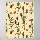 Suche nach lava poster Blume